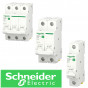 Schneider (81)